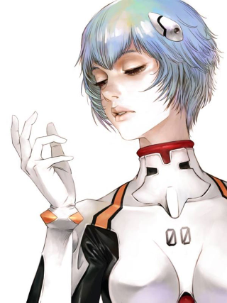 Illustration for article titled An Evangelion Masterpiece